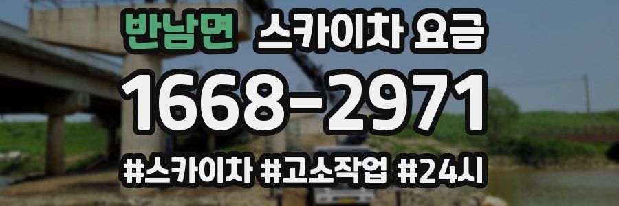 반남면 스카이차 요금