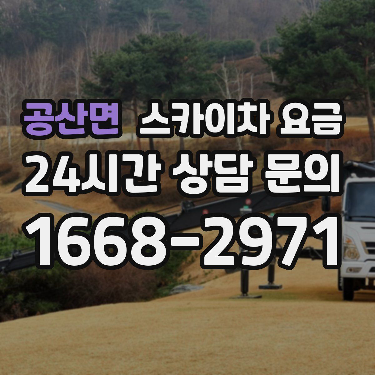 공산면 스카이차 요금