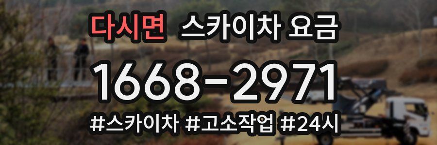 다시면 스카이차 요금