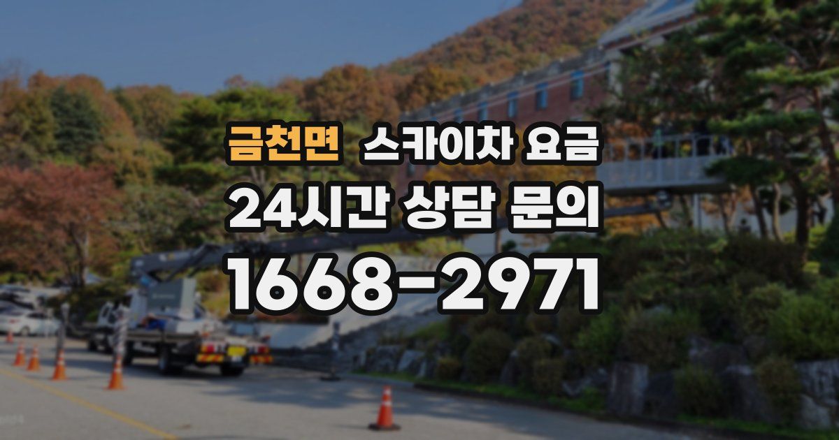 금천면 스카이차 요금