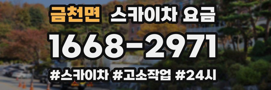 금천면 스카이차 요금