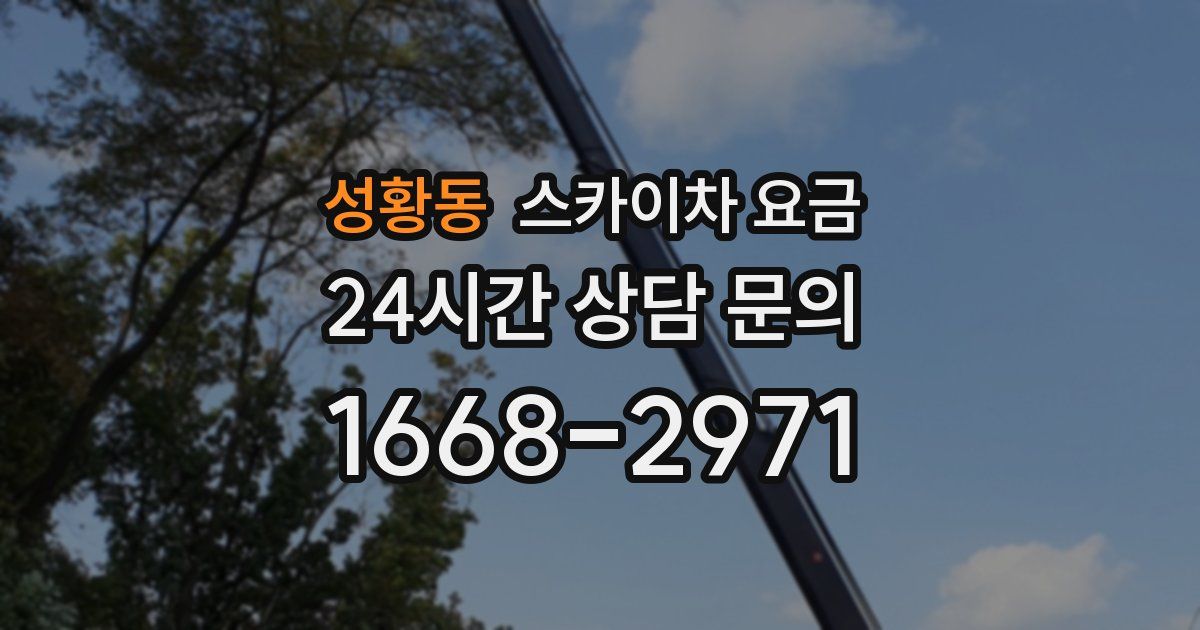 성황동 스카이차 요금