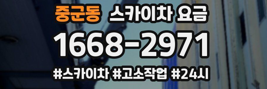 중군동 스카이차 요금