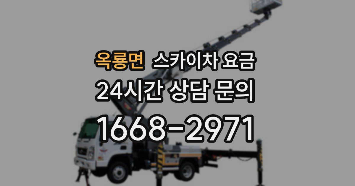 옥룡면 스카이차 요금