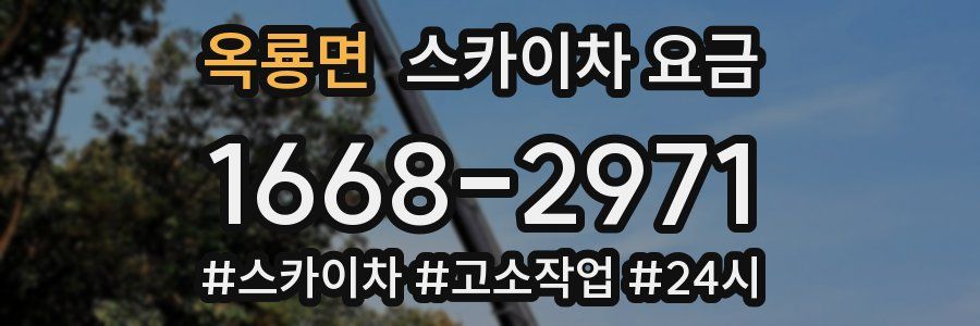 옥룡면 스카이차 요금