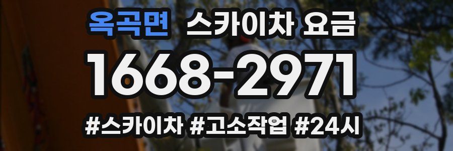 옥곡면 스카이차 요금
