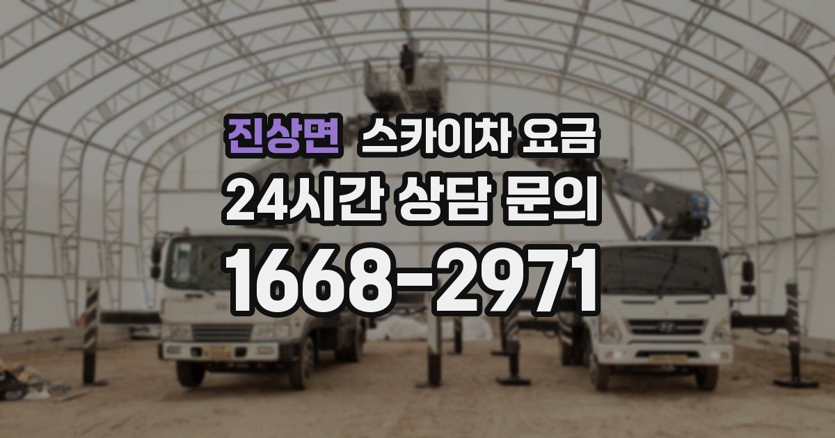 진상면 스카이차 요금
