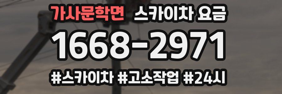 가사문학면 스카이차 요금