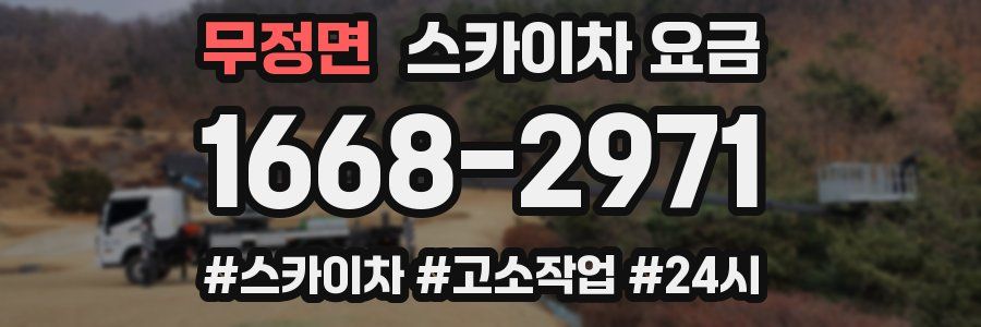 무정면 스카이차 요금