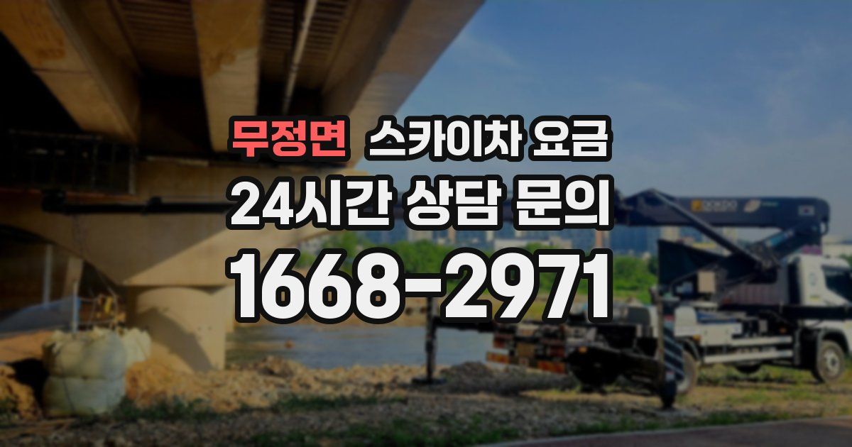 무정면 스카이차 요금