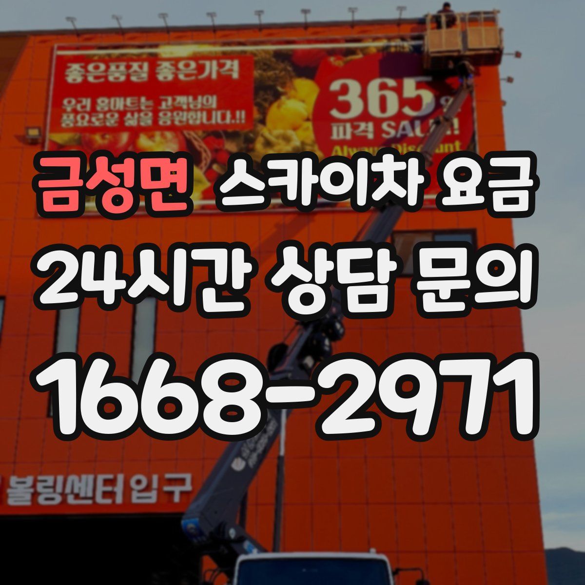 금성면 스카이차 요금