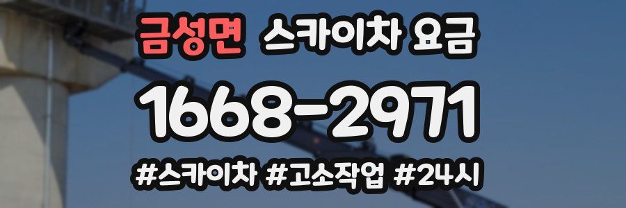 금성면 스카이차 요금