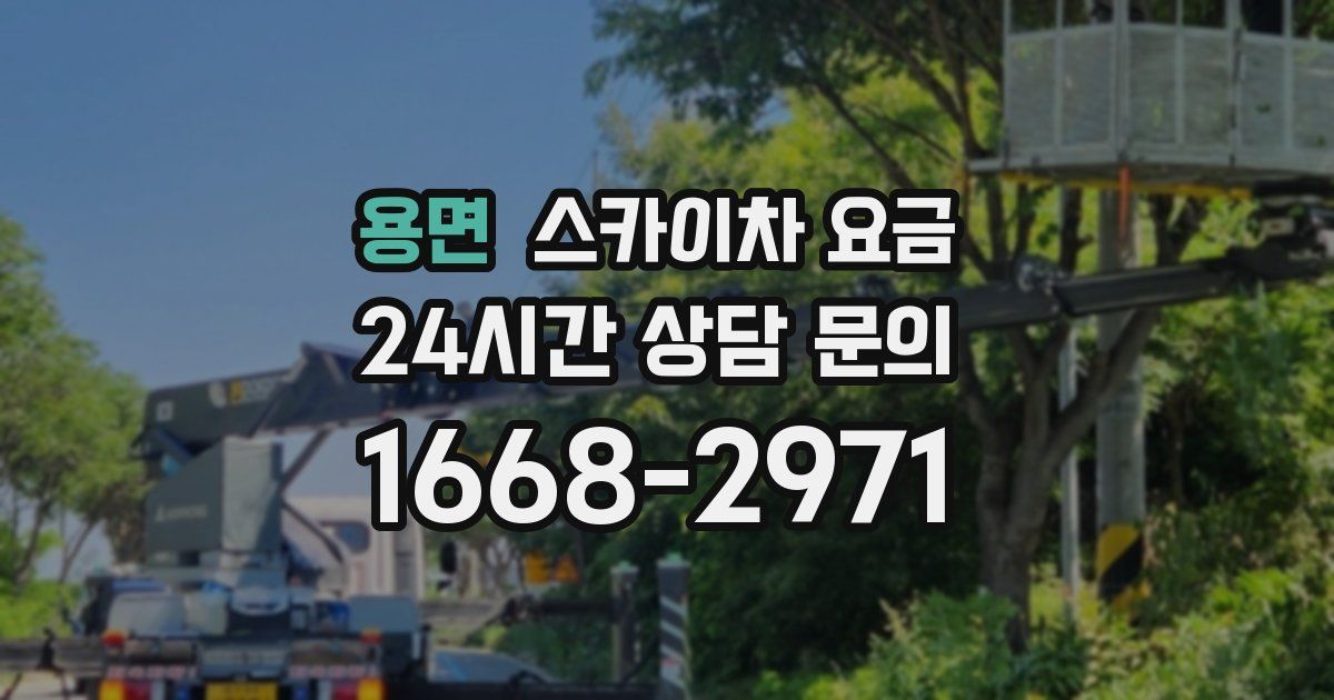 용면 스카이차 요금