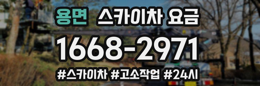 용면 스카이차 요금