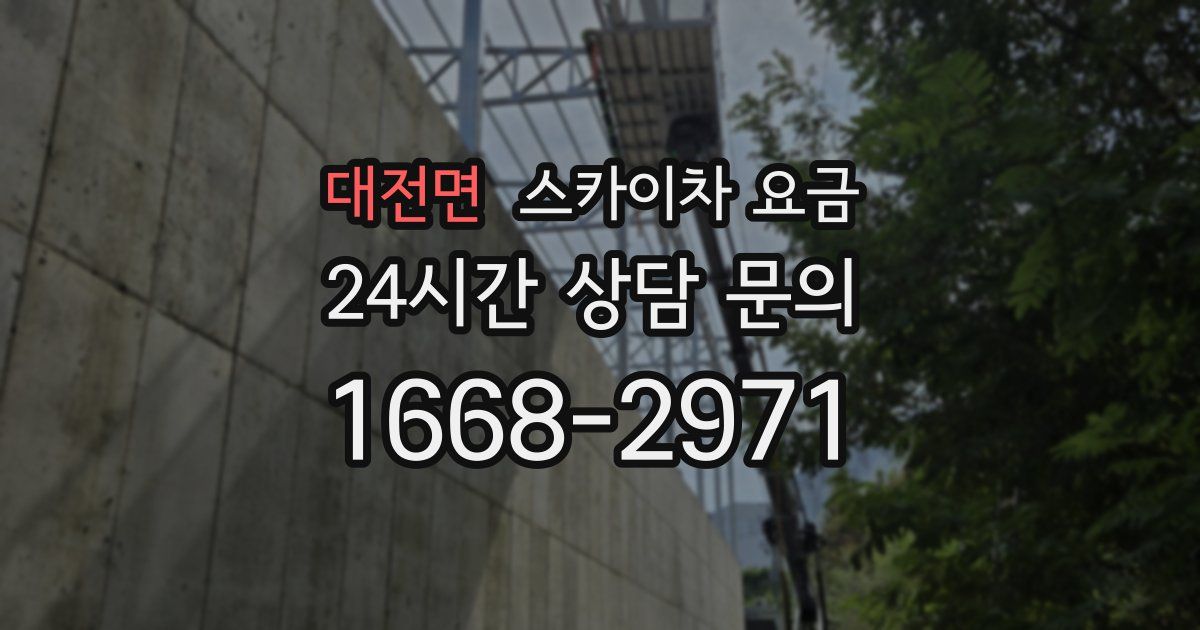 대전면 스카이차 요금