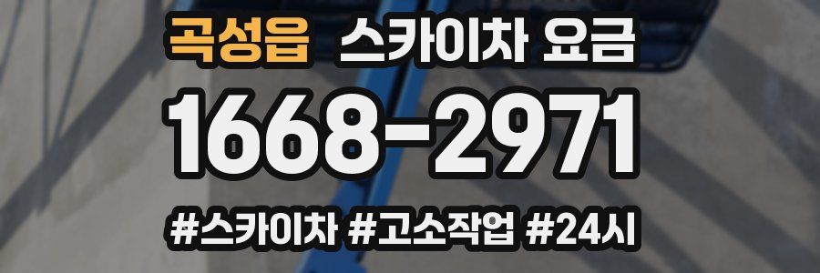 곡성읍 스카이차 요금