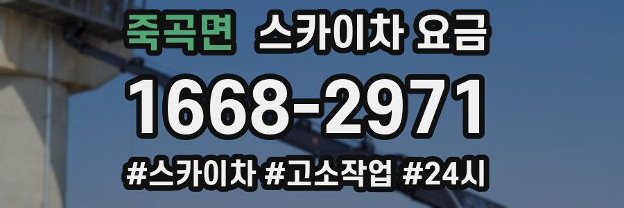 죽곡면 스카이차 요금