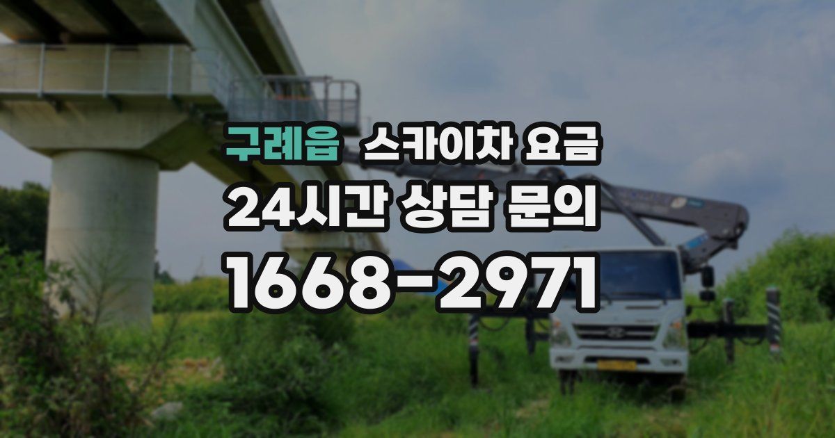 구례읍 스카이차 요금