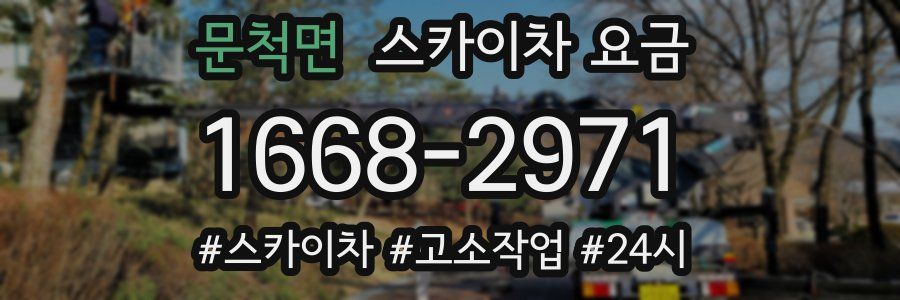 문척면 스카이차 요금