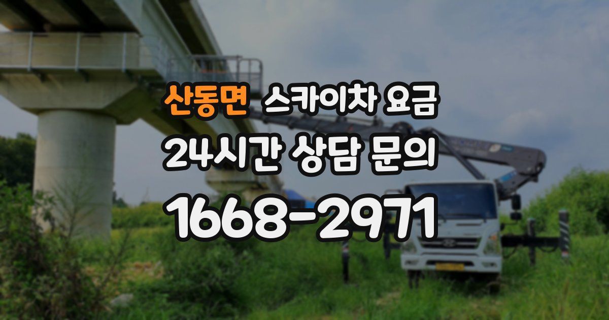 산동면 스카이차 요금