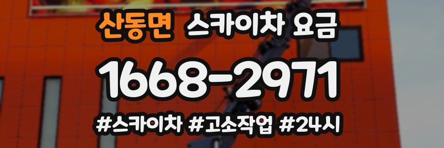 산동면 스카이차 요금
