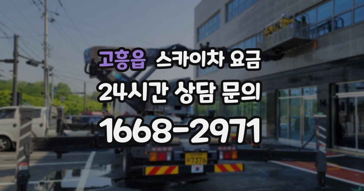고흥읍 스카이차 요금