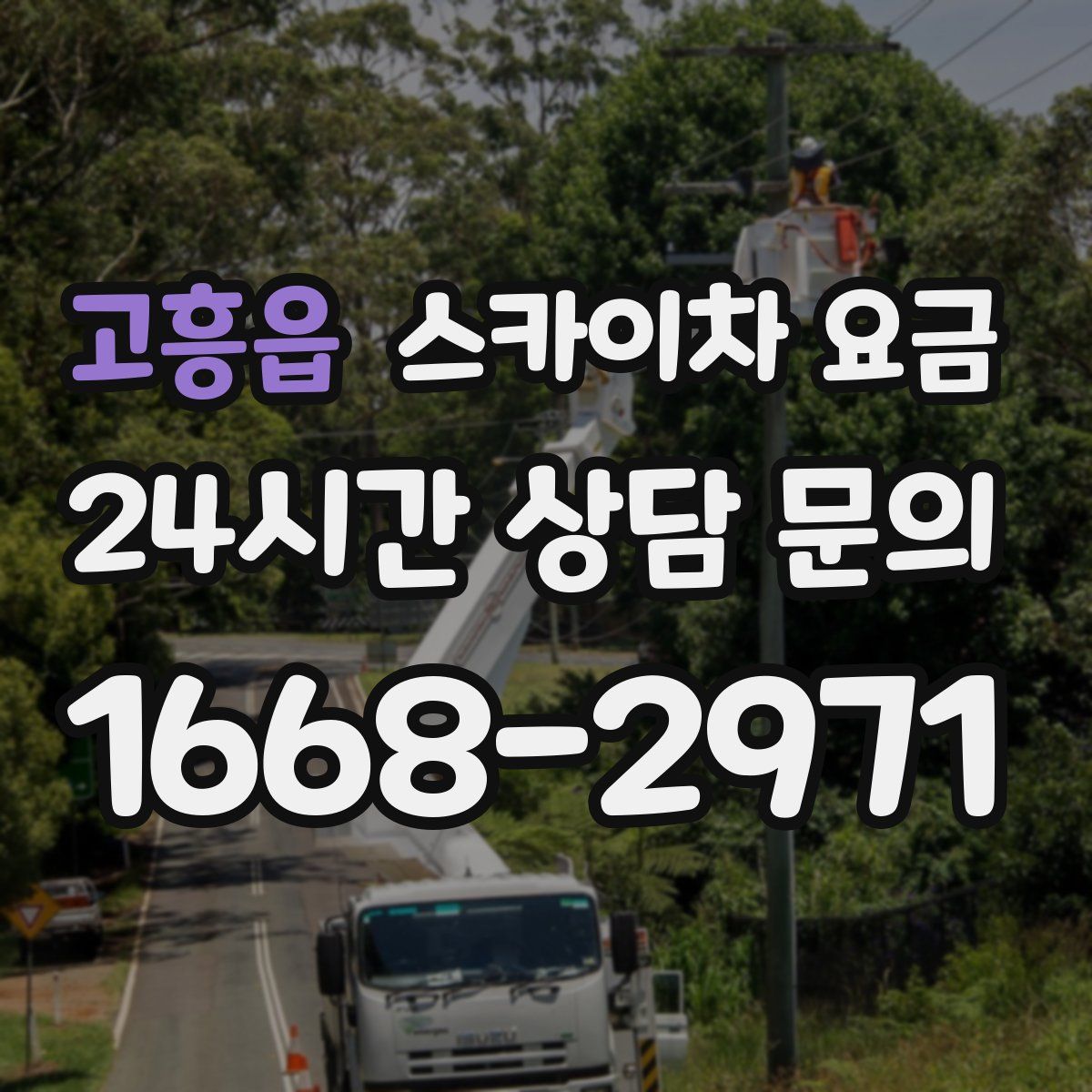 고흥읍 스카이차 요금