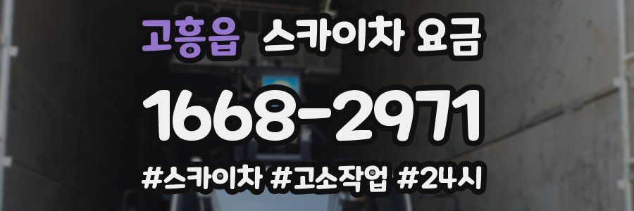 고흥읍 스카이차 요금