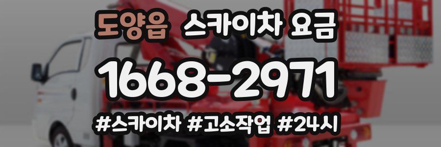 도양읍 스카이차 요금