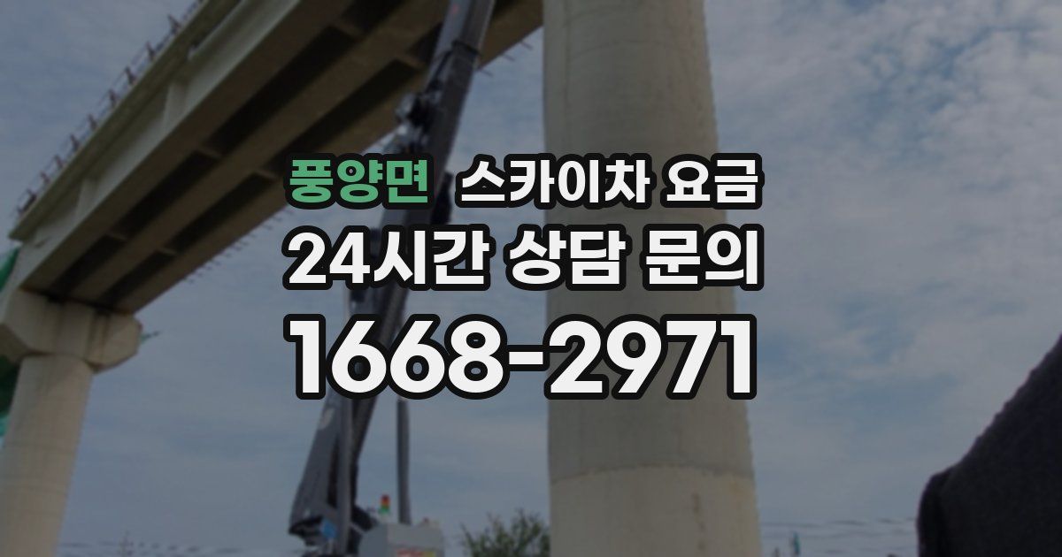 풍양면 스카이차 요금