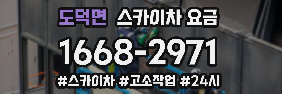 도덕면 스카이차 요금