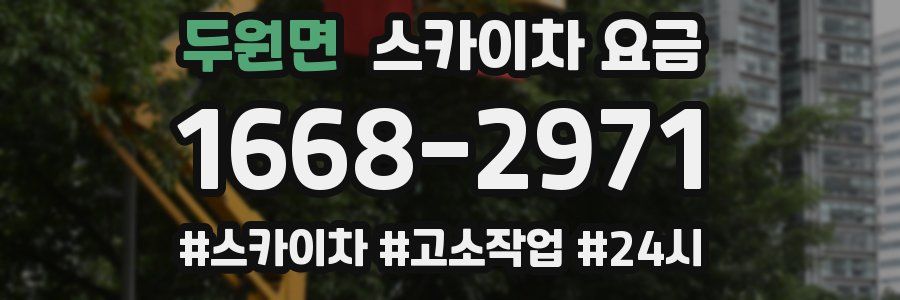 두원면 스카이차 요금