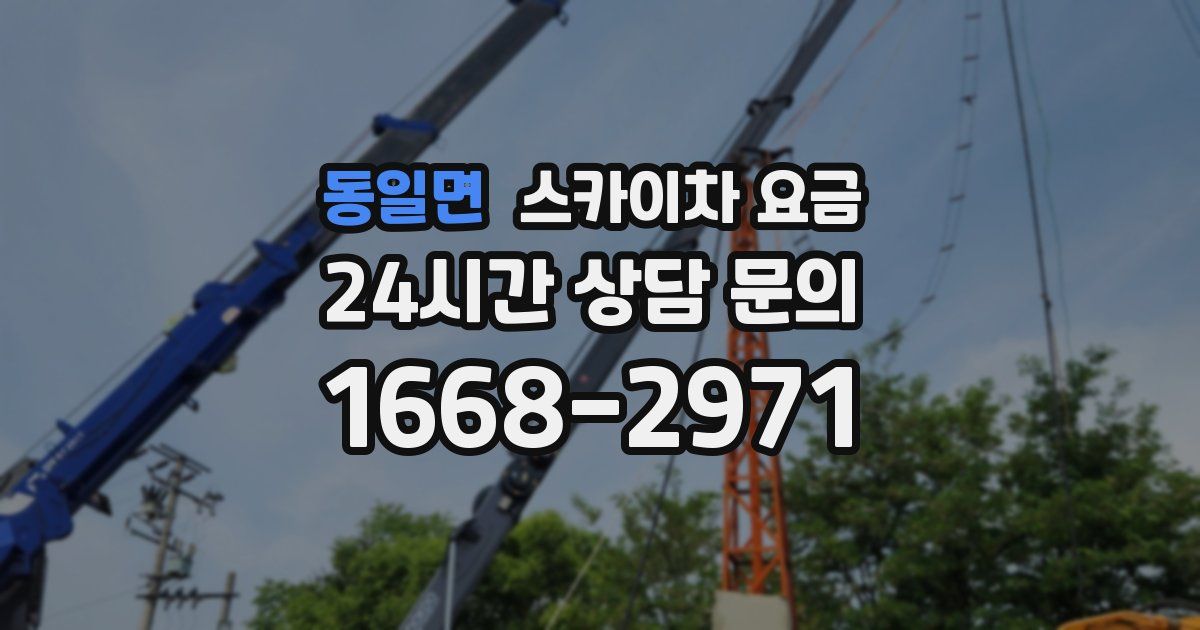 동일면 스카이차 요금