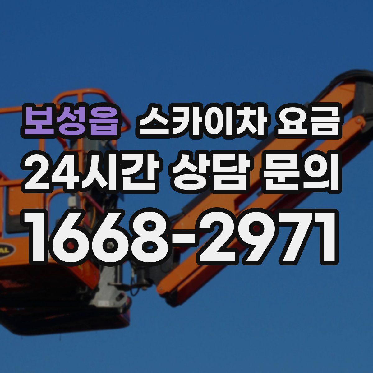 보성읍 스카이차 요금