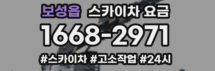 보성읍 스카이차 요금