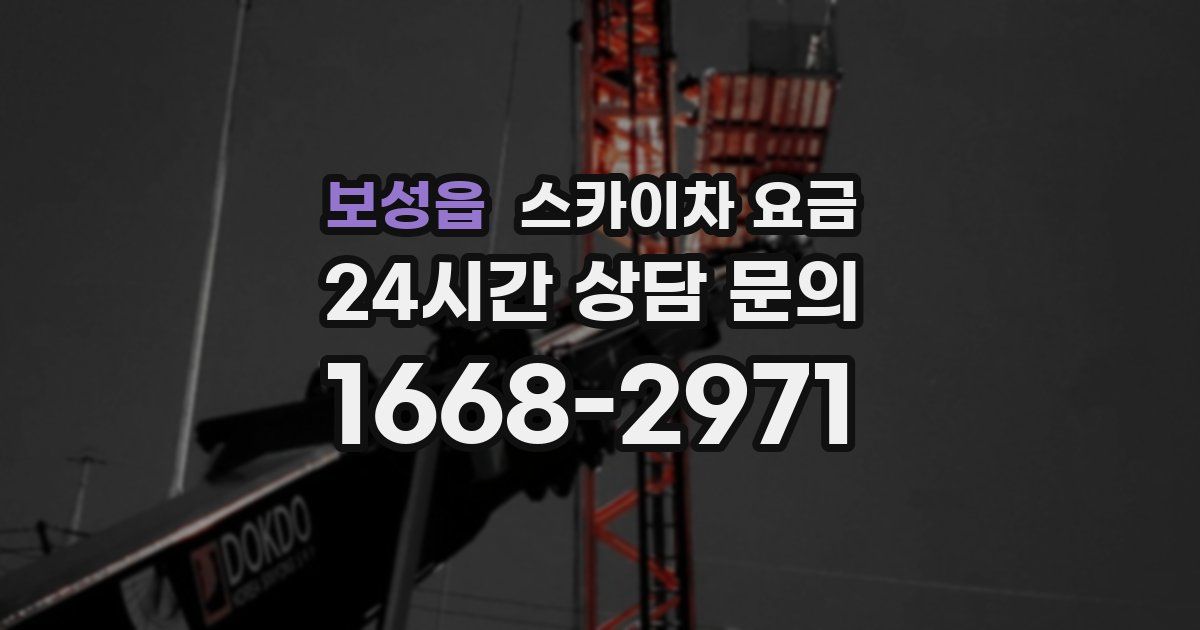 보성읍 스카이차 요금