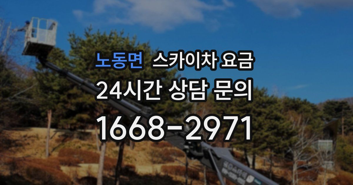 노동면 스카이차 요금