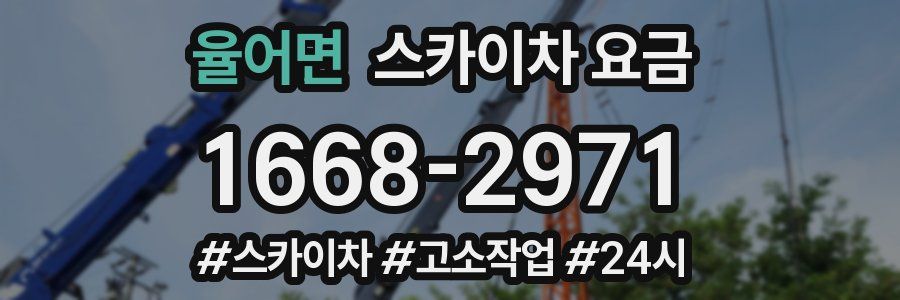 율어면 스카이차 요금