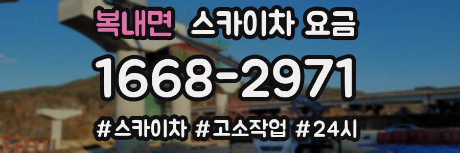 복내면 스카이차 요금
