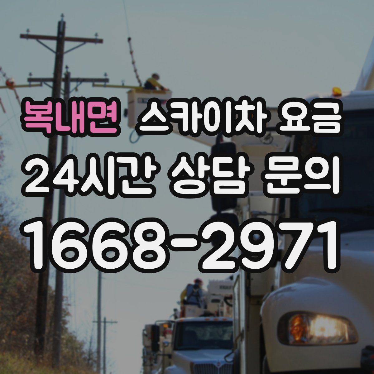 복내면 스카이차 요금