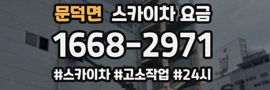문덕면 스카이차 요금