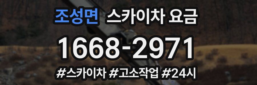 조성면 스카이차 요금