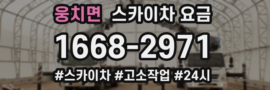 웅치면 스카이차 요금