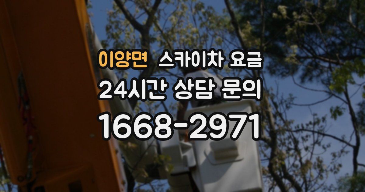 이양면 스카이차 요금