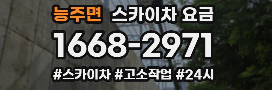 능주면 스카이차 요금