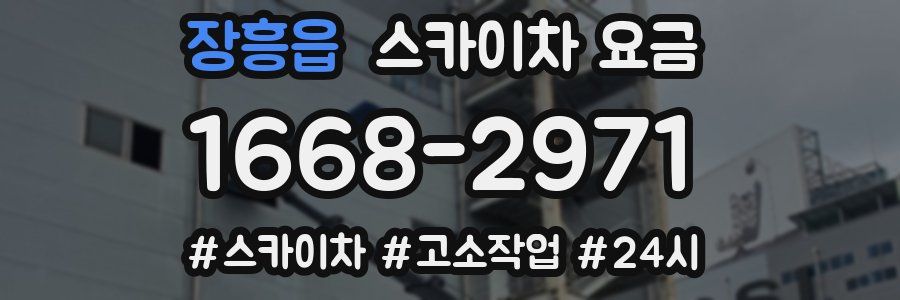 장흥읍 스카이차 요금