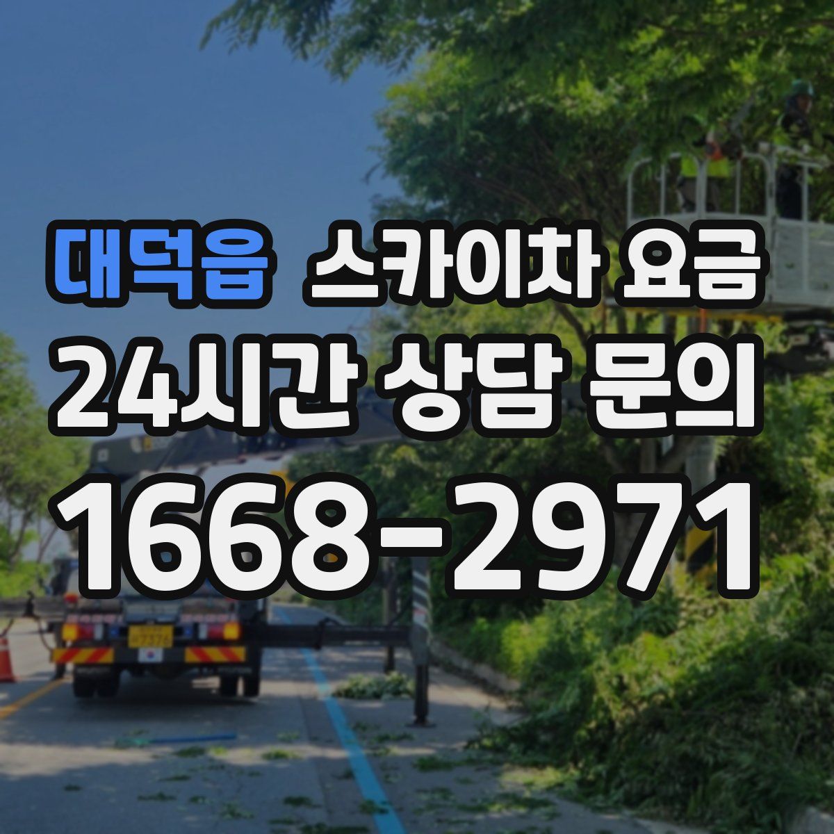 대덕읍 스카이차 요금