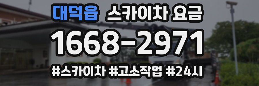 대덕읍 스카이차 요금