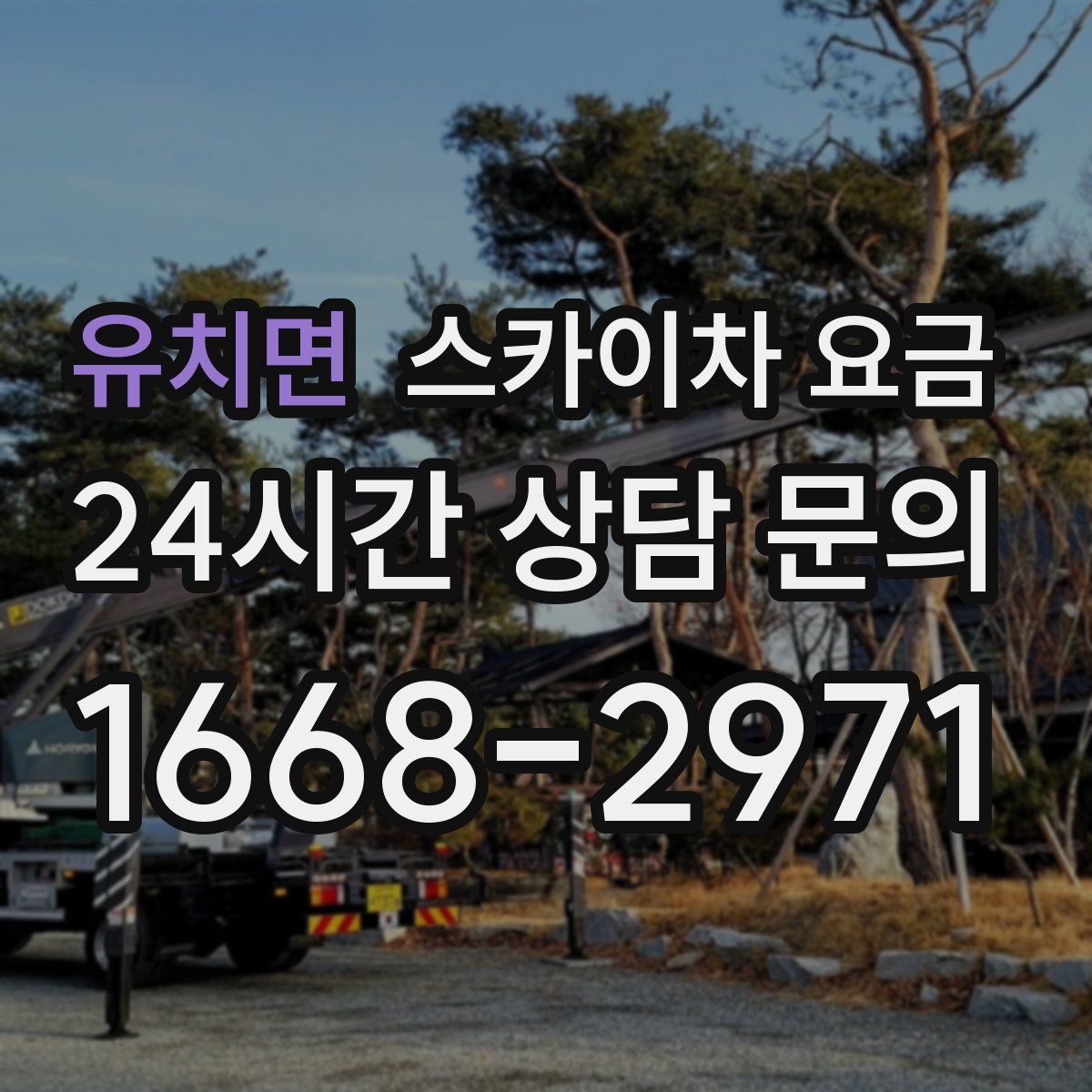 유치면 스카이차 요금