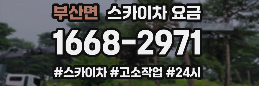부산면 스카이차 요금